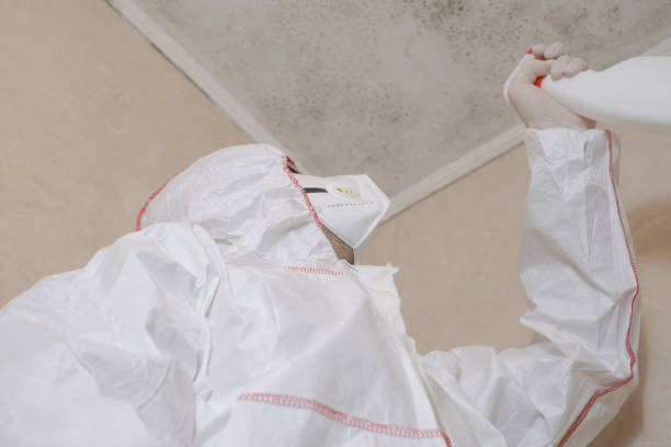 Best Mold Testing  in White Pine, TN